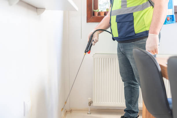 Best Flea Control Services  in Gleneagle, CO