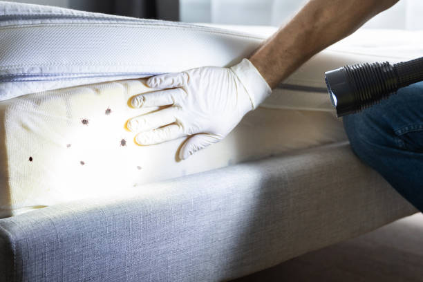 Best Pest Prevention Services  in Gleneagle, CO