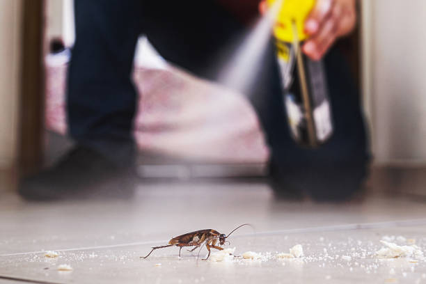 Trusted Gleneagle, CO Pest Control Experts
