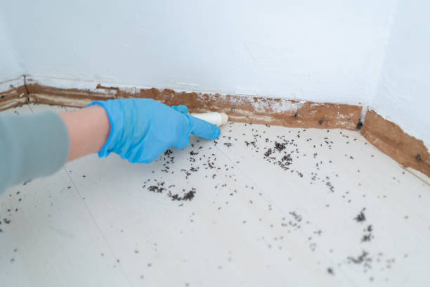 Best Wildlife Control Services  in Gleneagle, CO